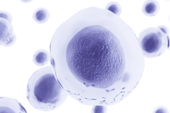 单细胞转录组测序