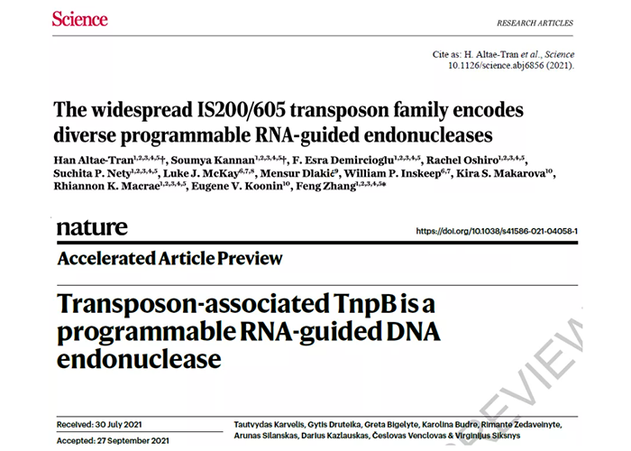 基因编辑_202202041